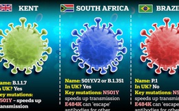 Biến thể virus SARS-CoV-2 mới ở Anh lại tiếp tục biến thể