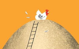 Đẻ trứng thì còn sống, không đẻ thì vào nồi: Giá trị thâm thúy học từ đàn gà mái khiến con người cũng phải tỉnh ra
