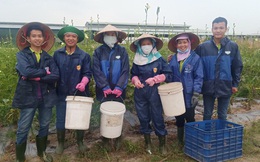 Vua Mít trong tâm dịch: 200 công nhân ở lại nông trại xuyên Tết, giám đốc xuống vườn trồng trọt