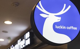 Sự sụp đổ chóng vánh của Luckin Coffee: Cổ phiếu rơi từ 50 USD xuống 1 USD sau 3 tháng, nộp đơn phá sản sau bê bối khai khống doanh thu