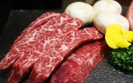 Bí ẩn xoay quanh món thịt bò đắt hơn cả Wagyu, tiềm năng trở thành đỉnh cao ẩm thức "omasake" Hàn Quốc: Vì sao chỉ dành cho giới siêu giàu?