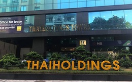 Thaiholdings kinh doanh thế nào mà Bầu Thụy vào top 6 người giàu nhất sàn chứng khoán?