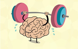Công thức rèn luyện kỹ năng đẳng cấp của những người giỏi nhất hành tinh: Rèn luyện chuyên sâu x 10.000 giờ
