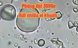 Soi bò khô siêu rẻ 170k/kg bán đầy ngoài chợ dưới kính hiển vi, phát hiện thứ nguyên liệu bất ngờ khiến nhiều người khiếp sợ