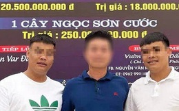 Quảng Ninh: Công an xác minh "màn" giao dịch lan đột biến trị giá gần 300 tỷ đồng