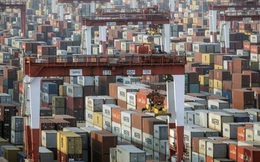 Financial Times: Cảng Trung Quốc tranh giành nhau container, xuất khẩu đình trệ, giao hàng chậm trễ và giá cả tăng cao