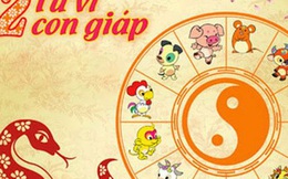 5 con giáp có đầu óc nhạy bén, lanh lợi hơn người, kiếm tiền giỏi nhất trong số 12 con giáp