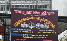 "Các giao dịch lan đột biến tiền tỷ đều là ảo hoặc sang tay nên khó thu thuế"