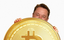 Elon Musk hết phép, dù đã “gáy hết sức” nhưng Bitcoin vẫn sụt không phanh