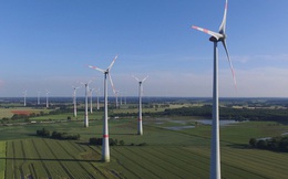 Phú Yên chuyển mục đích sử dụng đất rừng để thực hiện dự án điện gió hơn 1.700 tỷ đồng