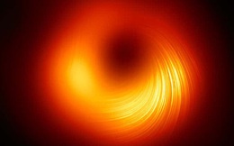 Cập nhật đồ họa cho tấm ảnh hố đen đầu tiên của nhân loại: giờ đã thấy được cả hiệu ứng của từ trường!