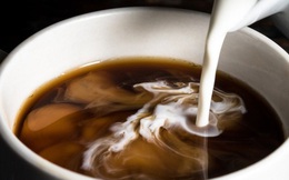 Vì sao không nên pha cà phê với sữa đặc, đường trắng? Top 5 nguyên liệu pha cà phê hại sức khỏe nhất