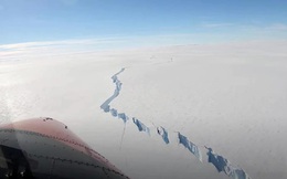 Vết nứt khổng lồ ở Nam Cực giải phóng tảng băng trôi rộng 1270 km2