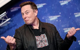 Elon Musk: 'Đại học cơ bản chỉ để cho vui  chứ không phải để học'