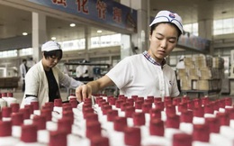 Từng lớn hơn cả Coca Cola, vốn hóa hãng quốc tửu Trung Quốc bỗng bốc hơi 111 tỷ USD