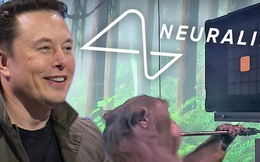 Tận mắt chứng kiến con khỉ của Elon Musk chơi game như người
