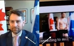 Nghị sĩ Canada quên tắt camera, khỏa thân đi lại giữa buổi họp Quốc hội trực tuyến