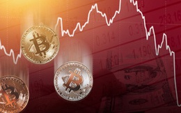 Bitcoin tiếp tục giảm sâu, rơi xuống dưới mốc 50.000 USD