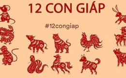 Từ nay đến hết năm 2021, có 4 con giáp được lộc làm ăn, vô cùng may mắn trong việc kiếm tiền nhưng vì mải làm giàu nên sao nhãng chuyện tình cảm