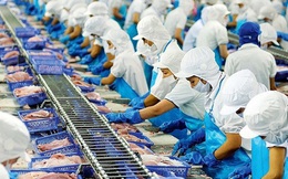 Xuất khẩu thuỷ sản Việt Nam lấy lại đà tăng trưởng