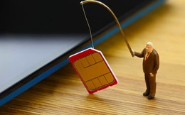 Bùng nổ lừa đảo chiếm đoạt SIM điện thoại, đánh cắp thông tin thẻ tín dụng