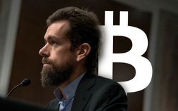 Động thái lạ của CEO Twitter trong ngày sinh nhật “cha đẻ Bitcoin”