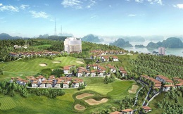 FLC xin dừng nghiên cứu lập quy hoạch siêu dự án hơn 600ha tại Quảng Ninh