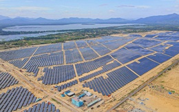 Khánh thành Nhà máy năng lượng mặt trời lớn nhất Bình Định, tổng vốn đầu tư hơn 6.200 tỷ đồng