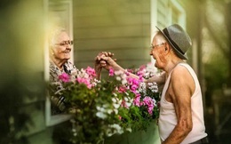 Cụ già 70 tuổi tuyên bố: "Dù có tán gia bại sản tôi cũng nhất định phải ly hôn", và khẳng định "Đầu tư quan trọng nhất cuộc đời mỗi người là chọn đúng bạn đời"