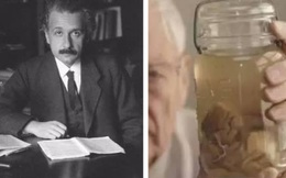 Những vĩ nhân thân xác không còn nguyên vẹn sau khi mất: Não của Einstein thậm chí bị cắt thành 240 mảnh