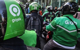 Nikkei Asia: Gojek chuẩn bị tham gia 'cuộc chiến 4 bánh' và ví điện tử tại Việt Nam
