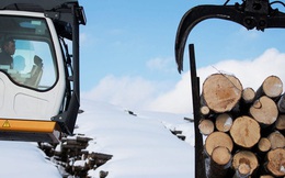 Giá gỗ tăng 280% trong 12 tháng và cơn khủng hoảng chưa có hồi kết của thị trường nhà ở