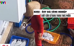 Cơ sở tẩy trắng mực bằng hóa chất: Giám đốc khai "nhân viên tự xin oxy già để tẩy"