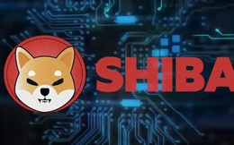 Nhà tạo lập Ethereum vẫn bị đánh thuế dù cho đi cả tỷ USD tiền số Shiba Inu