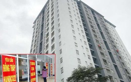 Yêu cầu Hà Nội xử lý sai phạm chủ khu chung cư bị điều tra lừa dối khách hàng