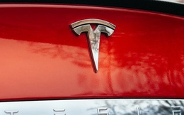 Elon Musk đặt mục tiêu mới cho Tesla: không chỉ sản xuất ô tô mà còn là một hãng robot AI