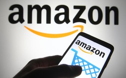 Nghịch lý của việc phát triển thương hiệu trên Amazon: Bán hàng hay thuê khách hàng?