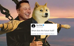 Nhà đầu tư Dogecoin toàn thế giới nín thở, trên tay app giao dịch tiền số đã mở sẵn chờ talkshow của Elon Musk tối nay