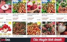 6 sàn TMĐT hợp lực tiêu thụ vải thiều Bắc Giang: Giúp nông dân livestream chốt đơn “khủng”, sẽ mở rộng bán nông, đặc sản khắp vùng miền