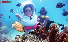 6 hòn đảo Việt Nam được mệnh danh là "thiên đường biển" hoang sơ tuyệt đẹp: Hết dịch nhất định phải tới giải nhiệt ngay!