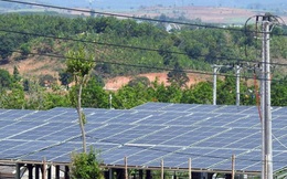 Nhà đầu tư điện mặt trời “méo mặt” vì nợ