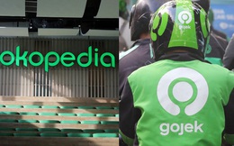 Những kỳ lân Đông Nam Á sắp IPO