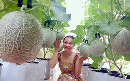 Ghé thăm sân thượng thu hoạch cả tạ dưa đủ loại của người phụ nữ đảm đang ở quận 6, Sài Gòn
