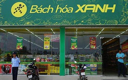 Bị Bộ Công thương yêu cầu “khắc phục ngay” sai phạm, CEO Bách Hóa Xanh khẳng định: Giá đã dần ổn định, đền khách hàng thêm 100.000 đồng/lần nếu sai sót