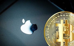 Bắt giữ người đàn ông hack tài khoản Twitter của Apple để lừa đảo Bitcoin