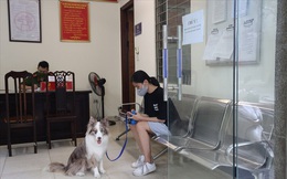 Dắt chó đi dạo, cô gái trẻ bị phạt 2 triệu đồng trong ngày đầu Hà Nội giãn cách: "Tôi cho chó ra ngoài đi vệ sinh... chỉ ra ngoài 2 phút thôi"