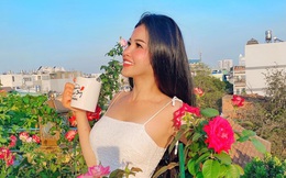 Sân thượng phủ kín hoa hồng và rau quả sạch ở Sài Gòn của Hoa hậu Janny Thủy Trần