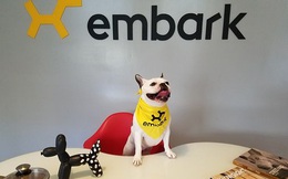 Công ty tìm cách tăng tuổi thọ cho chó được SoftBank đầu tư với mức định giá 700 triệu USD