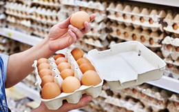 Giải mã hiện tượng trứng gà tăng giá kỷ lục, thương lái tranh nhau mua giữa tâm dịch