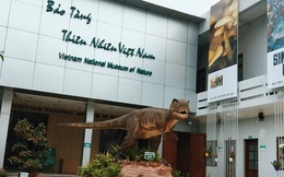 Bảo tàng Thiên nhiên Việt Nam tầm cỡ thế giới sắp xuất hiện tại Quốc Oai